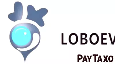LOBO TECHNOLOGIES LTD. Announces First Half of Fiscal Year 2026 Financial Results