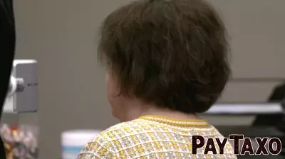 Michigan Woman Penalized for Deceptive Statements in Campaign Finance Case