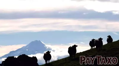New Zealand Farmers Criticize Proposed Green Finance Regulations
