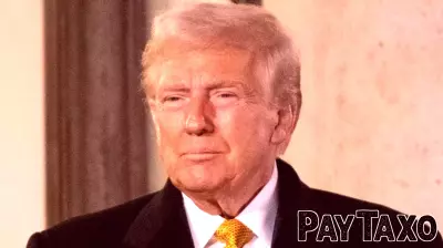 Potential Financial Impacts of Trump's Return to Office