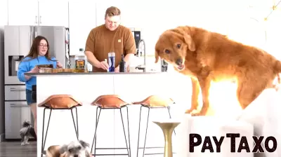 Rising Financial Pressures: Inflation and Job Market Woes Affect Households