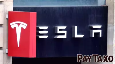 Tesla's Stock Reaction: Analyzing the Earnings Miss and Future Potential